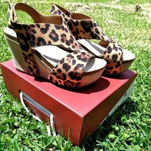 Wild Retake Wedges